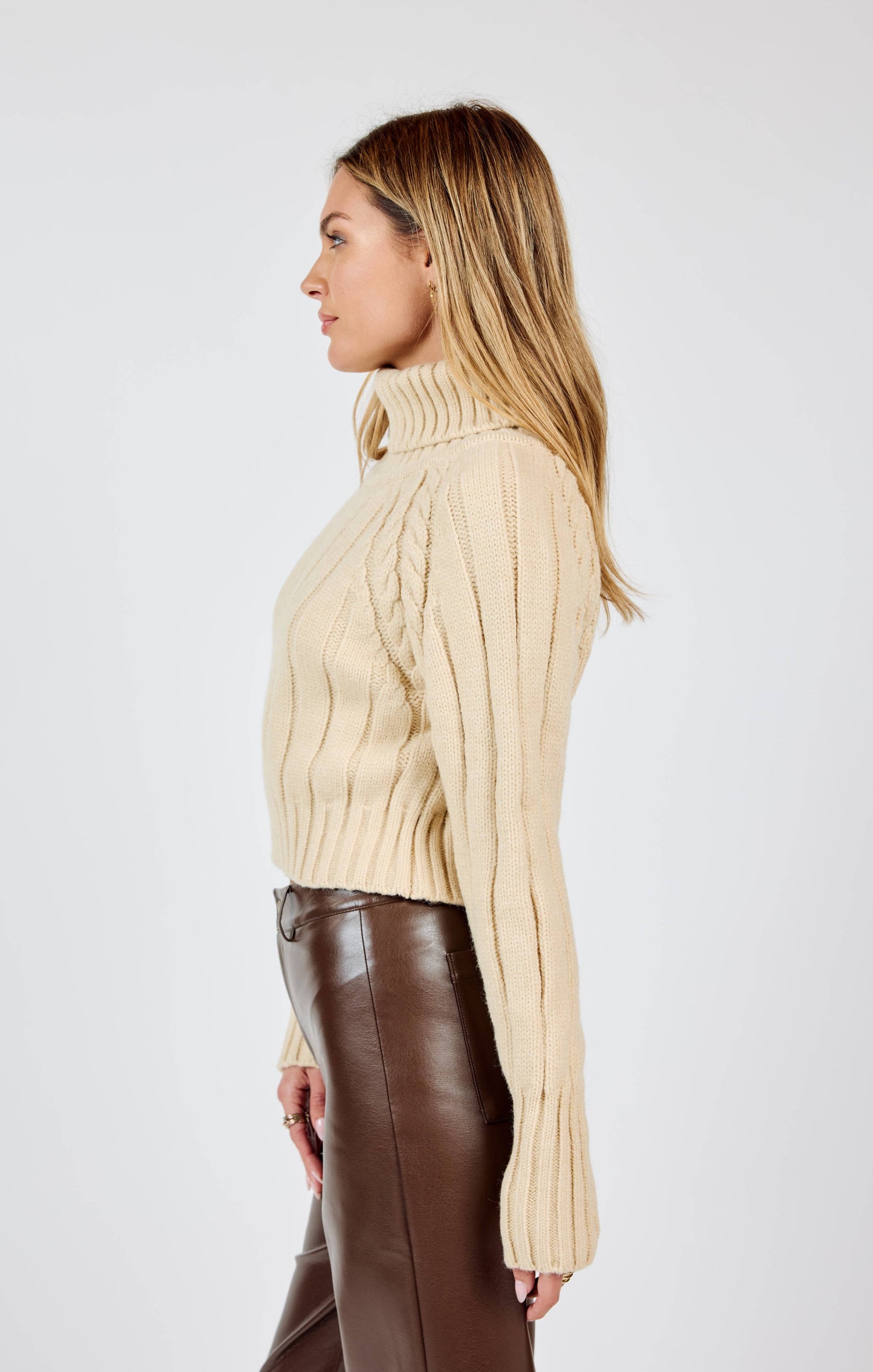 Serena Turtle Neck Crop Sweater